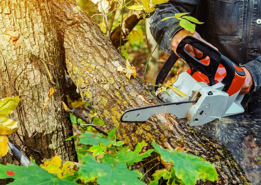 Tree service project by M Brennan Tree Service LLC in Offutt Air Force Base, NE