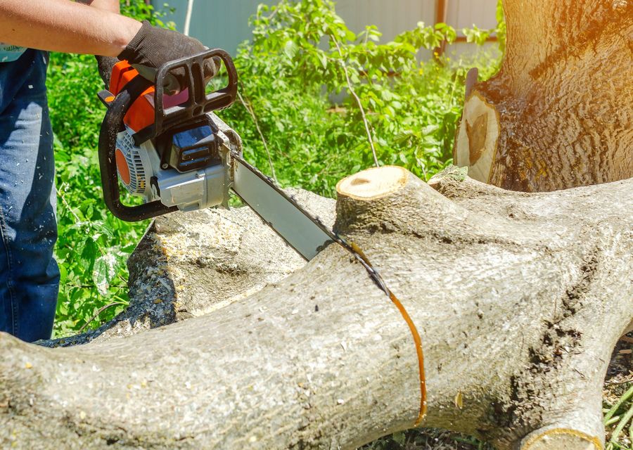 Tree service project by Sunshine Grove Arbors in Burleson, TX
