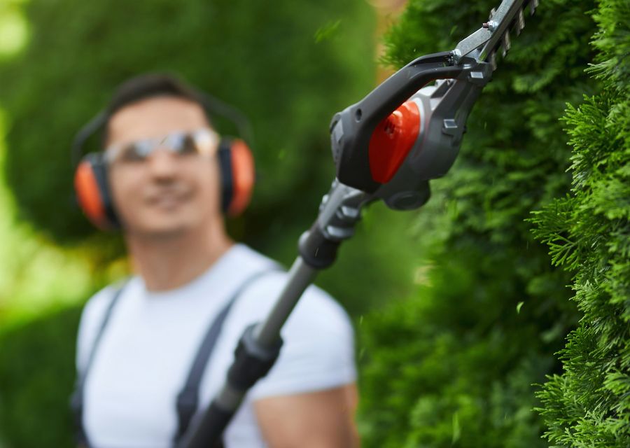 Tree service project by Cypress Tree Service, LLC in Kouts, IN