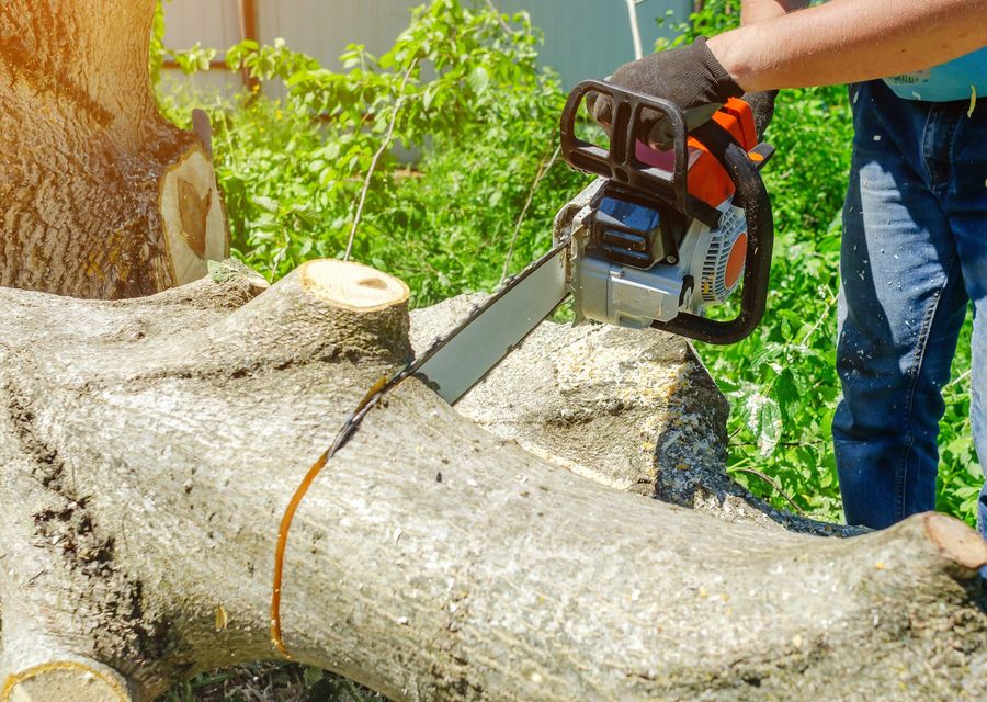 Tree service project by Mighty Oaks Land and Tree in Franklin Park, IL
