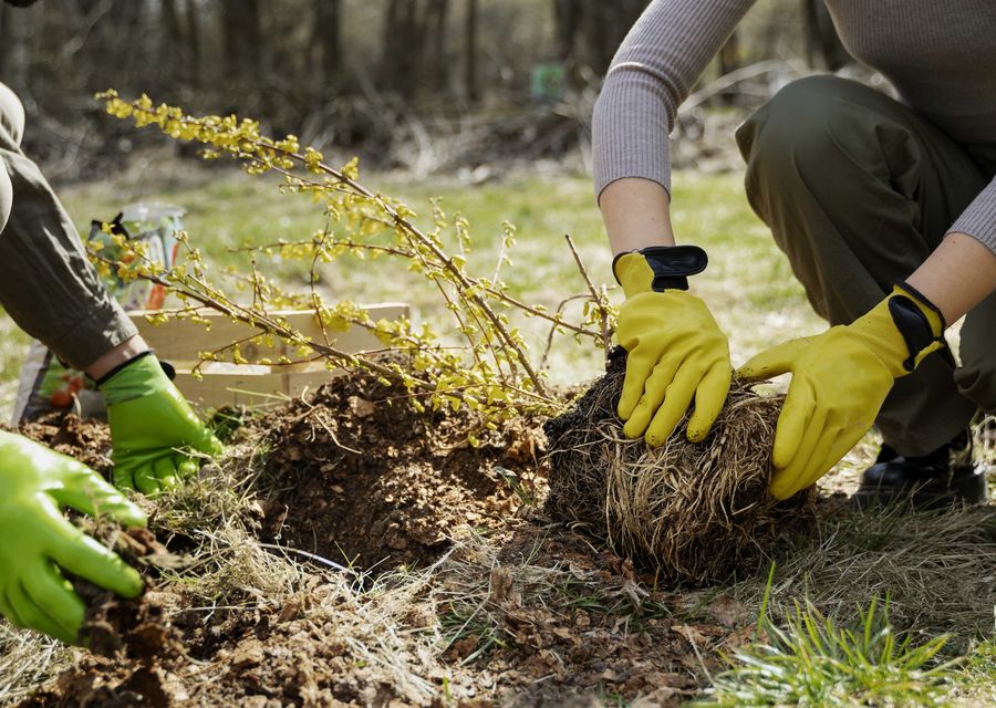 Tree service project by Hernandez Tree Experts in Lithonia, GA