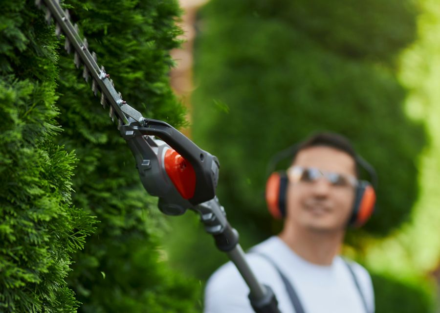Tree service project by Richie's Tree Service in Homer Glen, IL