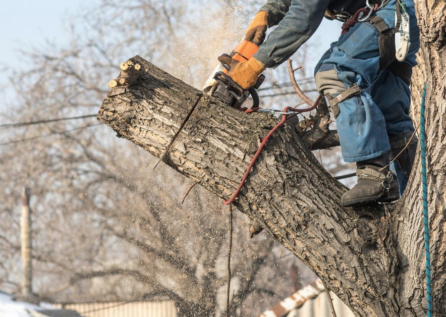 Tree service project by Howard's Tree Service Inc in Lilburn, GA