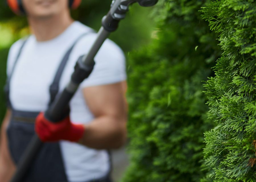 Tree service project by Jade Tree Service in West Rockhill, PA