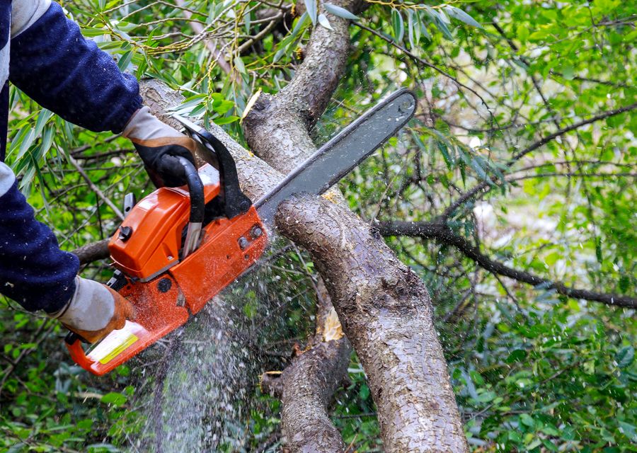 Tree service project by Prestige Landscaping Experts in Fort Mill, SC