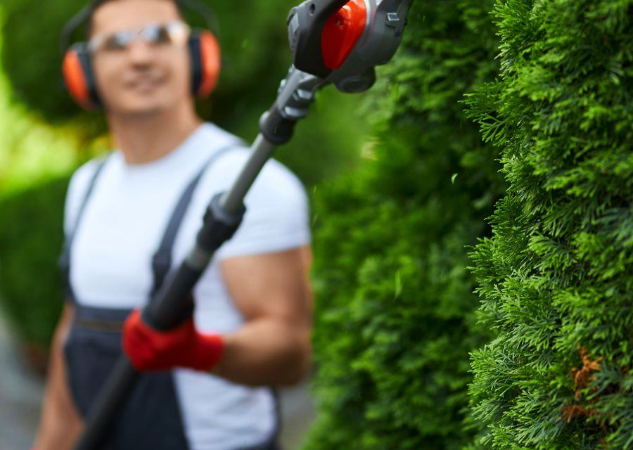 Tree service project by Mendez Tree Removal LLC in Bell, PA