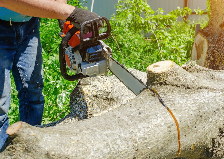 Tree service project by I.F Tree Services in Brothersvalley, PA