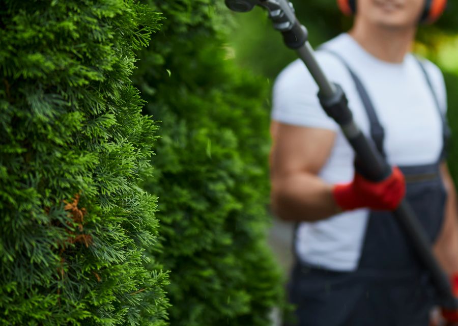 Tree service project by MGM Tree Service & Landscaping LLC in Yutan, NE