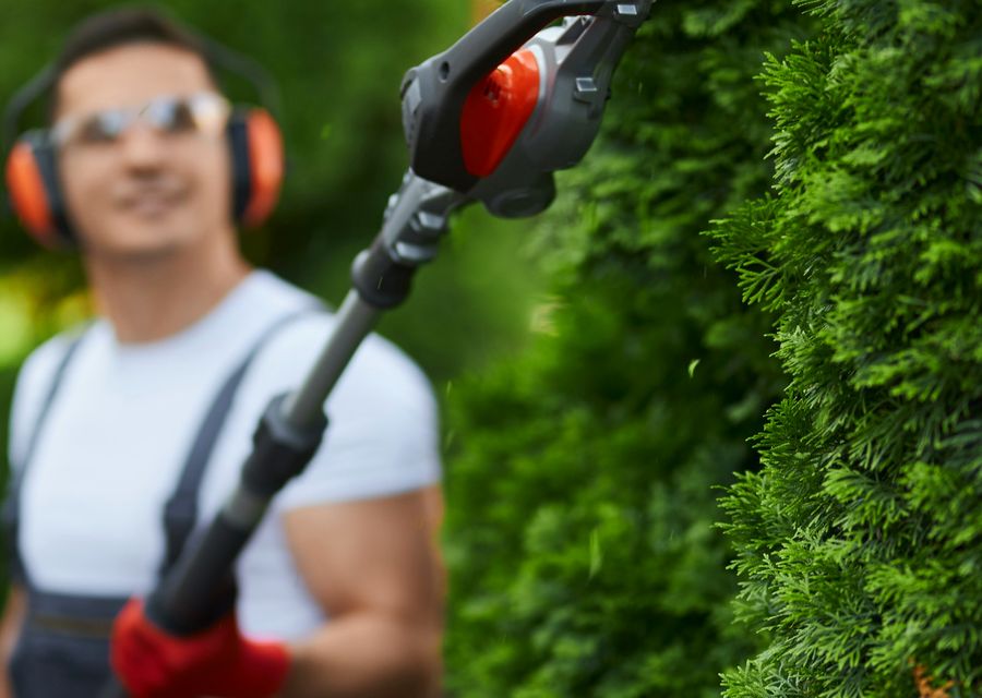 Tree service project by Clover Tree Service Corp in White Oak, PA
