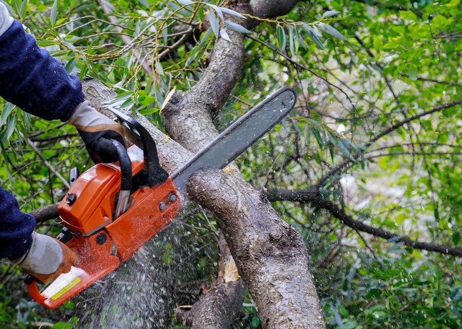Tree service project by Howie's C & H Tree Service, Inc. in Peachtree Corners, GA