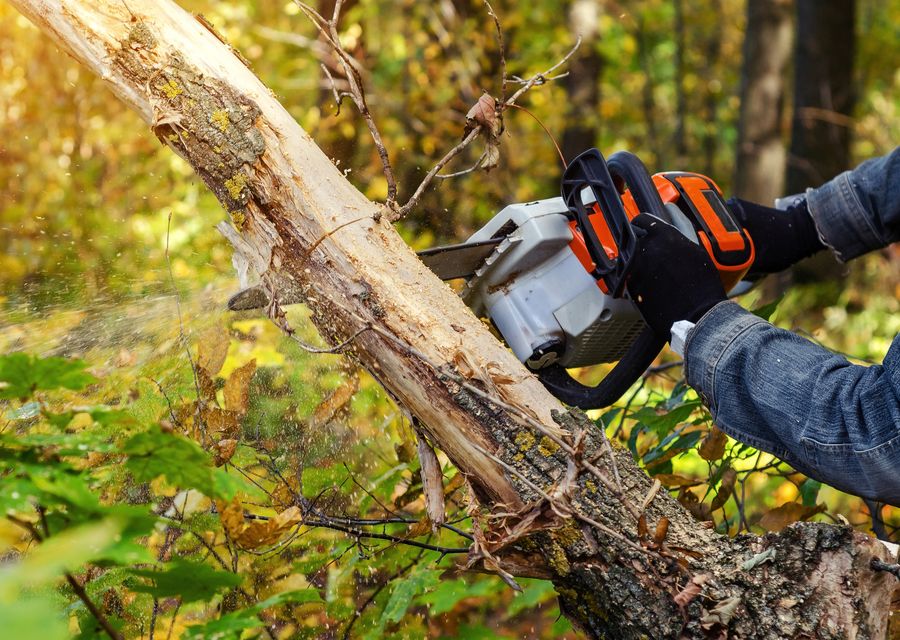 Tree service project by Manny's Landscaping Corp. in Bartlett, IL