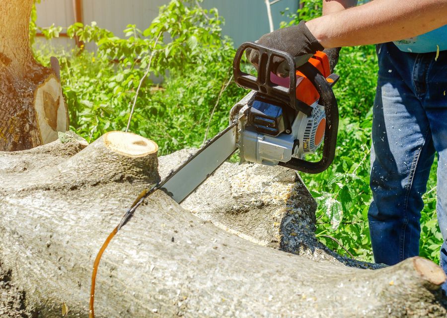 Tree service project by Woody Tree Service, Inc. in River Grove, IL