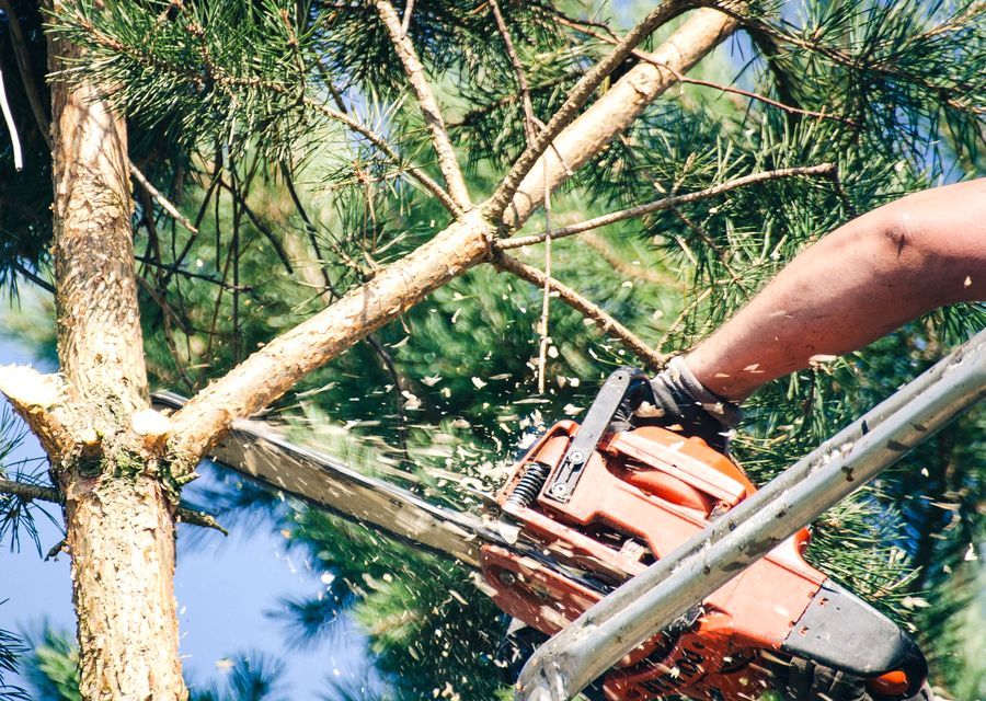 Tree service project by Mile High Landscape & Tree Service in Quemahoning, PA