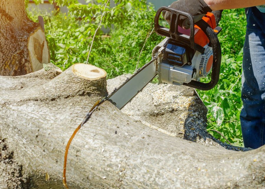 Tree service project by Garden City Tree Services in Clarkston, GA